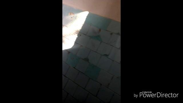 Видео, после после которого люди сходят с ума!!! Видео, после после которого люди сходят с ума!!!