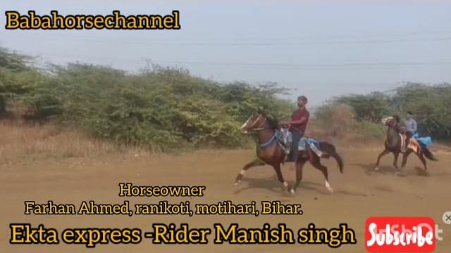 Ekta express riding by manish singh surat race #horse #horseracing #horseriding #latestvideos Ekta express riding by manish singh surat race #horse #horseracing #horseriding #latestvideos