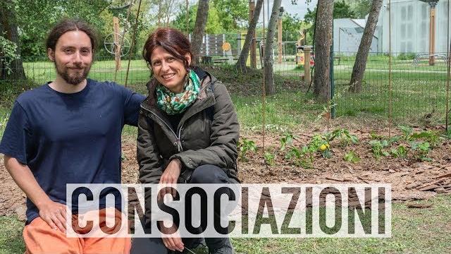 Orto sinergico, consociazioni tra ortaggi Orto sinergico, consociazioni tra ortaggi