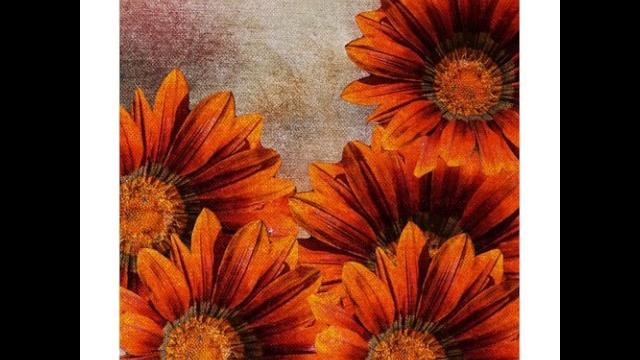 Amy anderson - vintage - art for sale Amy anderson - vintage - art for sale