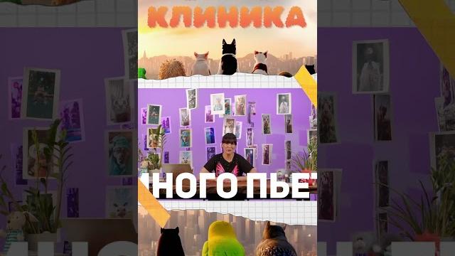 Если котик часто писает #shorts Если котик часто писает #shorts