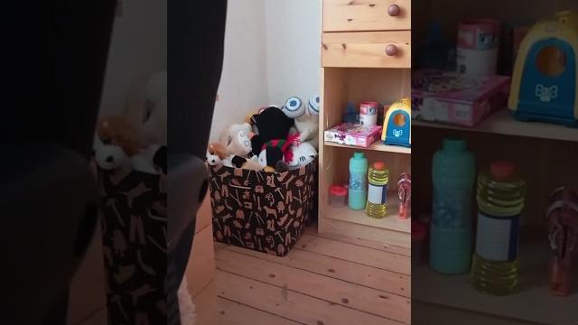 Кот игрушка. живой кот играет в прятки. дилайф играет в прятки с соседским котом. #roblox #cat Кот игрушка. живой кот играет в прятки. дилайф играет в прятки с соседским котом. #roblox #cat