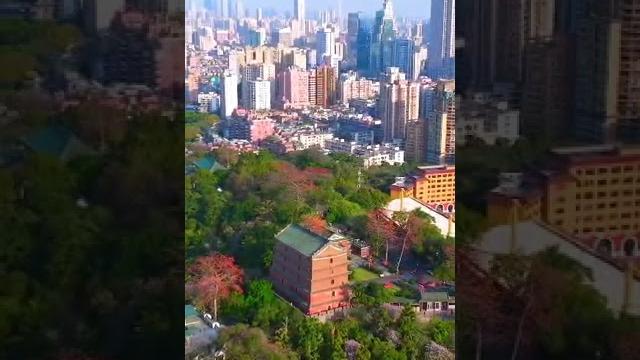 广东 广州 越秀公园' 广东 广州 越秀公园'