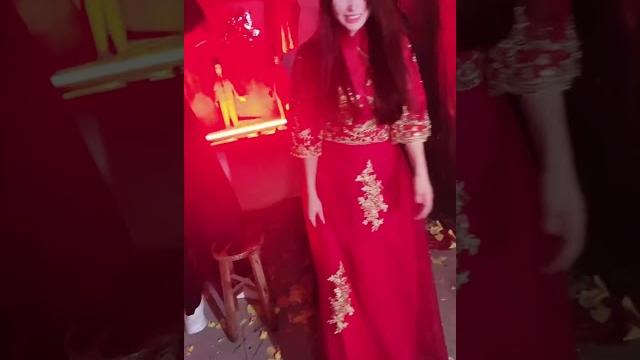 奔跑晶骡子 奔跑晶骡子