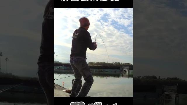 釣竿射出去的感覺!? #shorts #fishing #手竿 釣竿射出去的感覺!? #shorts #fishing #手竿