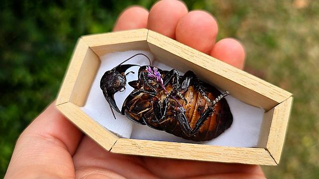 Прощай друг.. Прощай друг..