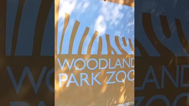 #vlogseattle #cruisesharbor #woodlandparkzoo #travelvlog #seattletour #viajandoporelmundo #zoovlog #vlogseattle #cruisesharbor #woodlandparkzoo #travelvlog #seattletour #viajandoporelmundo #zoovlog
