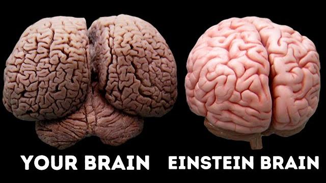 What made albert einstein a genius? What made albert einstein a genius?