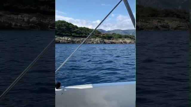 #kalca #twerk #liseli #etek altı #kalca #twerk #liseli #etek altı