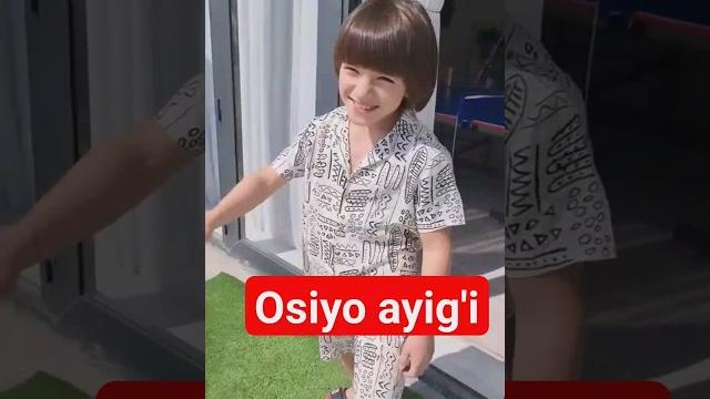 Osiyo ayig'i #shorts Osiyo ayig'i #shorts