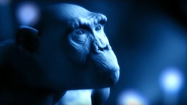 Explaining the tree of life | bbc earth Explaining the tree of life | bbc earth