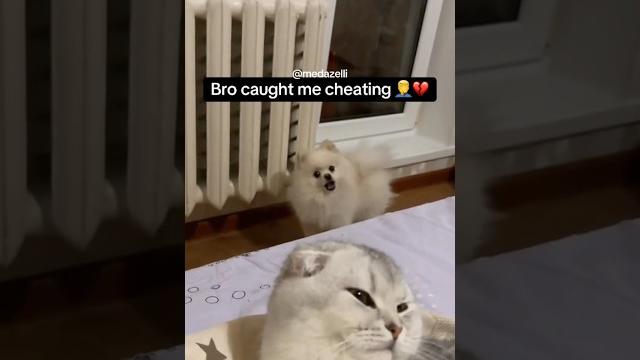 I got caught cheating I got caught cheating