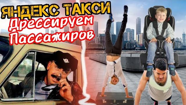 Яндекс такси дрессируем пассажиров Яндекс такси дрессируем пассажиров