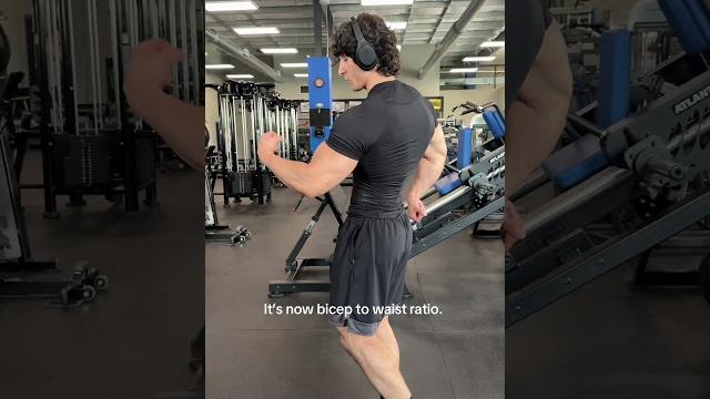 Bicep to waist ratio Bicep to waist ratio