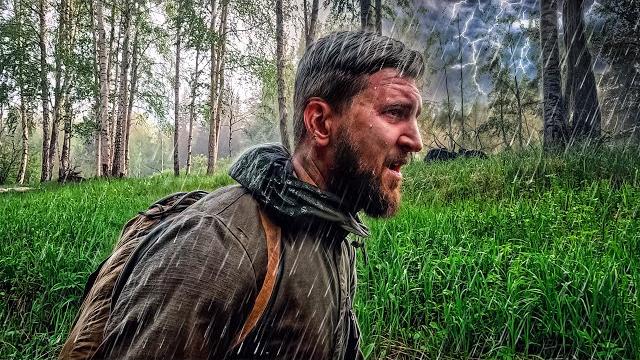 Survival in the forest without food and water only 5 things food in the forest bears near - lesnye Survival in the forest without food and water only 5 things food in the forest bears near - lesnye