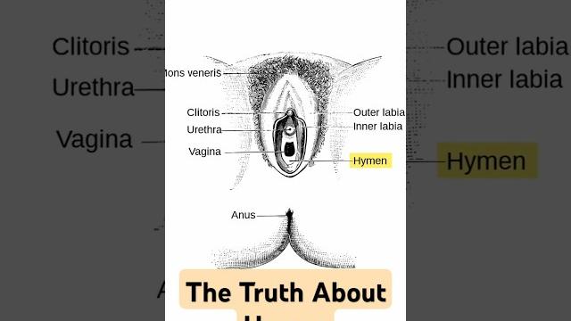 What is the hymen? What is the hymen?