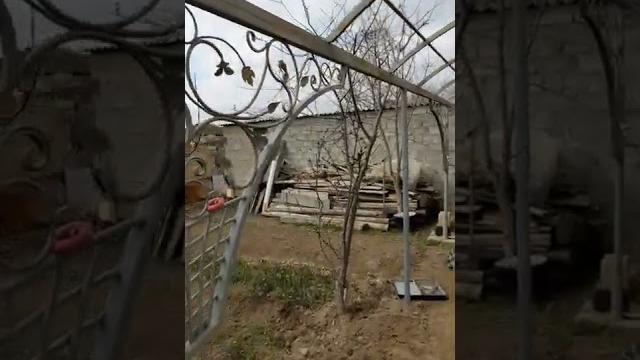 Навес для винограда +беседка. Навес для винограда +беседка.