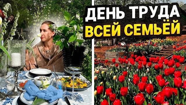 День труда всей семьёй работаем на участке в деревне День труда всей семьёй работаем на участке в деревне