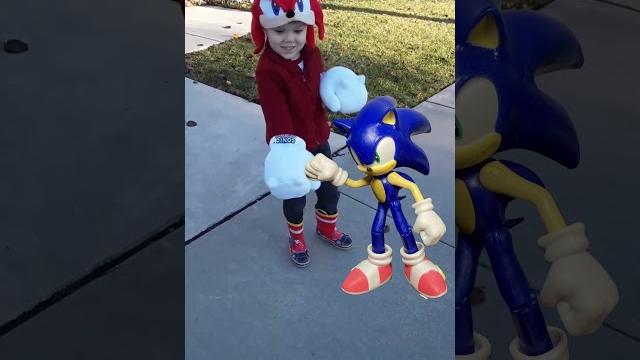 Sonic destroys knuckles Sonic destroys knuckles