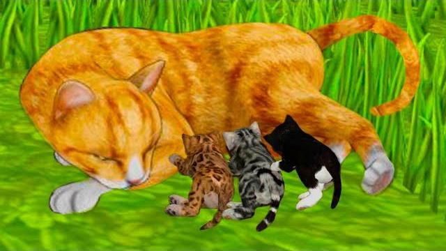Симулятор маленького котенка #22 челлендж с котиками #пурумчата Симулятор маленького котенка #22 челлендж с котиками #пурумчата