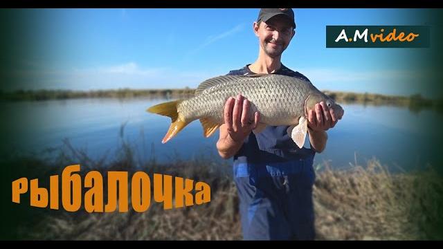 Купаемся и ловим рыбку. конец октября. осенняя рыбалка на сазана. маяки, днестр (глубокий турунчук). Купаемся и ловим рыбку. конец октября. осенняя рыбалка на сазана. маяки, днестр (глубокий турунчук).