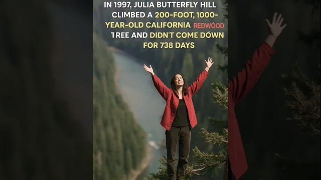 Julia butterfly hill: the woman who lived in a tree for 738 days to save it #shorts #short Julia butterfly hill: the woman who lived in a tree for 738 days to save it #shorts #short