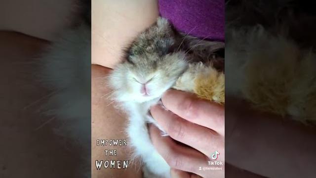 What a #girl does when showing #nipples is #illegal #fyp#mama#bunny#rabbit#free#women#breastfeeding What a #girl does when showing #nipples is #illegal #fyp#mama#bunny#rabbit#free#women#breastfeeding