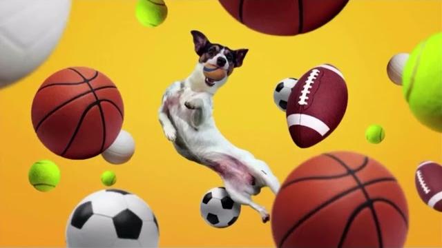 Nickelodeon ident (2021-2023) #2 Nickelodeon ident (2021-2023) #2