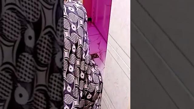 روتين تنظيف الحمام علي الطبيعه بدون مونتاج روتين تنظيف الحمام علي الطبيعه بدون مونتاج