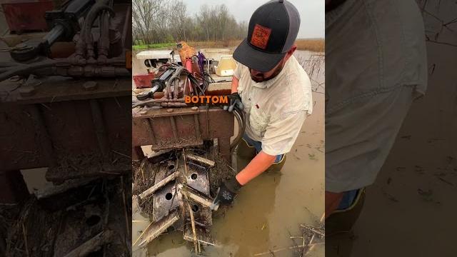 Do crawfish boats crush crawfish? ️ Do crawfish boats crush crawfish? ️