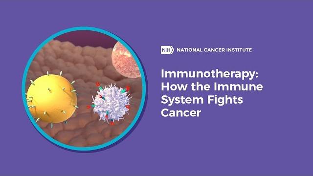 Immunotherapy: how the immune system fights cancer Immunotherapy: how the immune system fights cancer