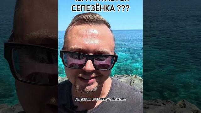 Чем питается селезёнка? рыбалко юрий. #shorts Чем питается селезёнка? рыбалко юрий. #shorts
