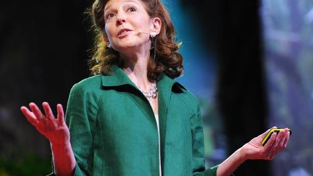 How to spot a liar | pamela meyer | ted How to spot a liar | pamela meyer | ted