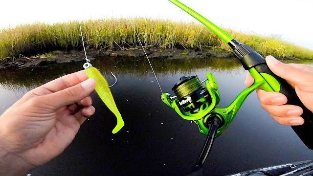 Swimbait fishing for whatever bites! (4 species) Swimbait fishing for whatever bites! (4 species)