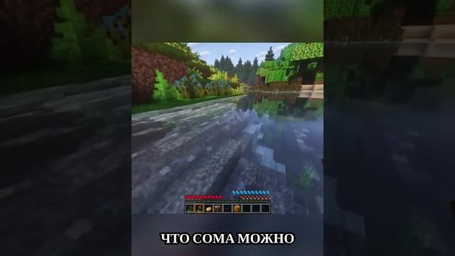 Что с сомами то делать? Что с сомами то делать?