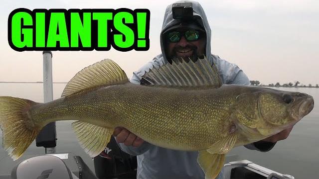 Can i catch a giant walleye in smoky waters? Can i catch a giant walleye in smoky waters?