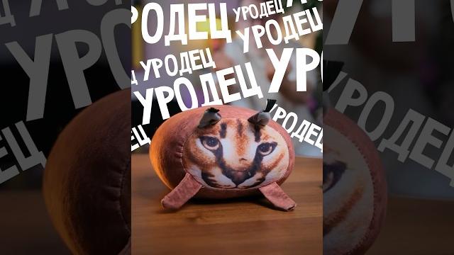 Обзор подделки шлепы Обзор подделки шлепы