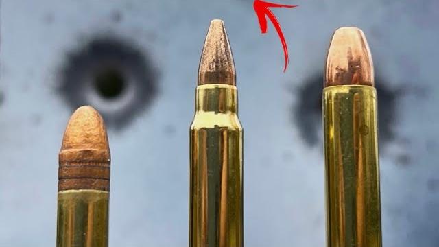 22lr vs 17 hmr vs 22 mag: never would’ve guessed 22lr vs 17 hmr vs 22 mag: never would’ve guessed