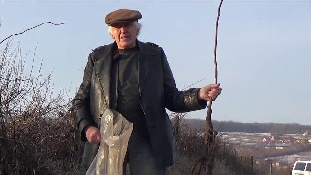 Введение в тему ореховый сад - биологическая машина и как её эффективно эксплуатировать. январь 2020 Введение в тему ореховый сад - биологическая машина и как её эффективно эксплуатировать. январь 2020