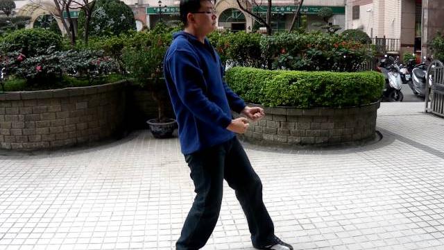 白鶴拳 八步連 白鶴拳 八步連