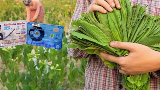 Havva yildirim elvanlardan takmağa Havva yildirim elvanlardan takmağa