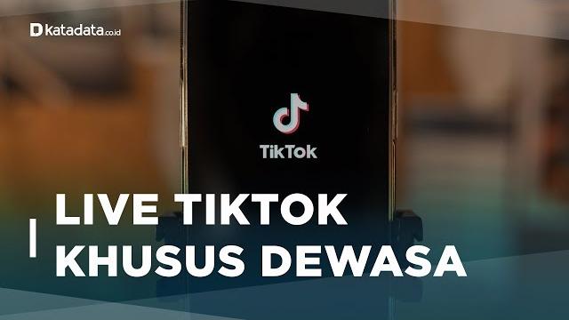 Ada batasan usia, ini sederet aturan baru live streaming di tiktok | katadata indonesia Ada batasan usia, ini sederet aturan baru live streaming di tiktok | katadata indonesia
