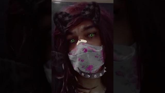 Pretty little cat crossdresser sissy / cdzinha gatinha - tigresa by mariele wendi #sissyfemboy Pretty little cat crossdresser sissy / cdzinha gatinha - tigresa by mariele wendi #sissyfemboy