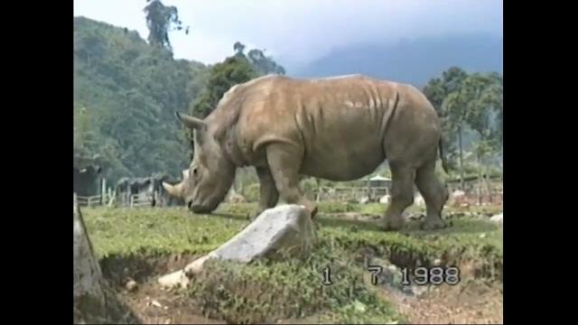 Taman safari 1988 Taman safari 1988