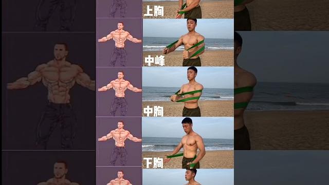 练胸五大经典动作只需一根弹力带 练胸五大经典动作只需一根弹力带