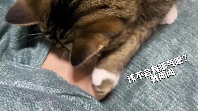 “快快快…妈妈脚痒,给我挠挠…” “快快快…妈妈脚痒,给我挠挠…”