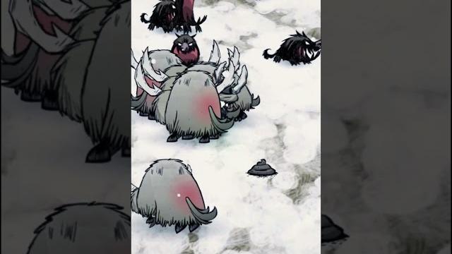 How to become a beefalo! dst op #shorts #dontstarvetogether #dontstarvetogetherguide #dstgaming How to become a beefalo! dst op #shorts #dontstarvetogether #dontstarvetogetherguide #dstgaming