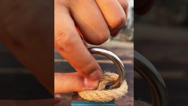 Wow... incredible knot! Wow... incredible knot!