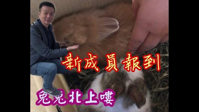 將軍晚點名1025#譬如北辰#光復節快樂#兔兔北上回家 將軍晚點名1025#譬如北辰#光復節快樂#兔兔北上回家