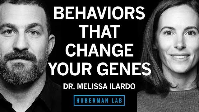 Behaviors that alter your genes to improve your health & performance | dr. melissa ilardo Behaviors that alter your genes to improve your health & performance | dr. melissa ilardo